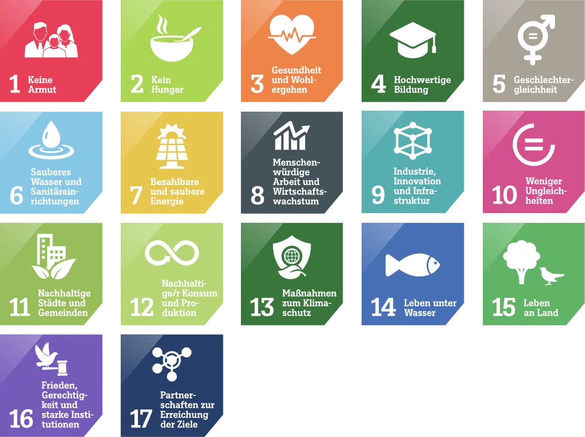 Übersicht UN SDGs
